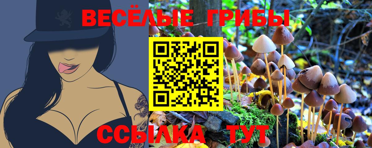 Тельмана  Псилоцибиновые грибы прущие грибы  Вход с VPN 
